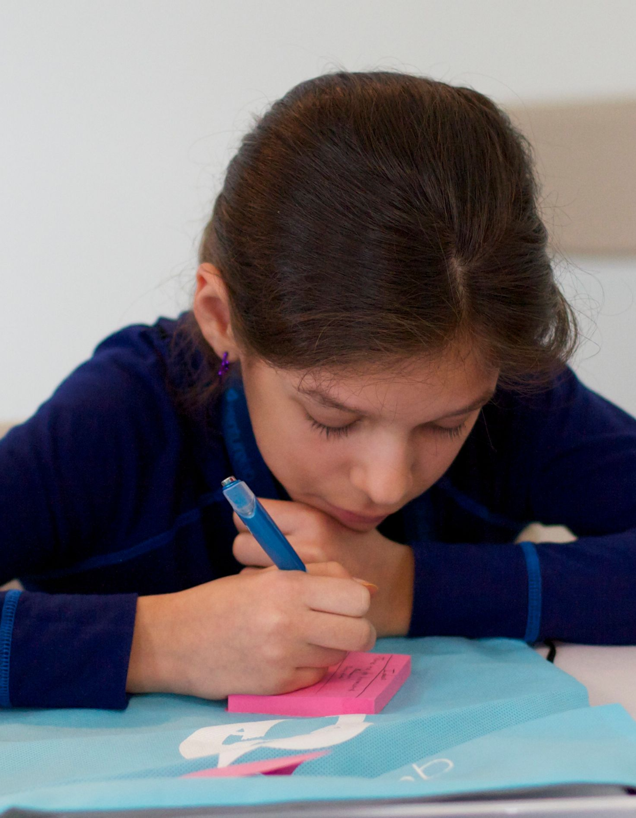 Topics in Entrepreneurship: Market Research (Grades 1-2)