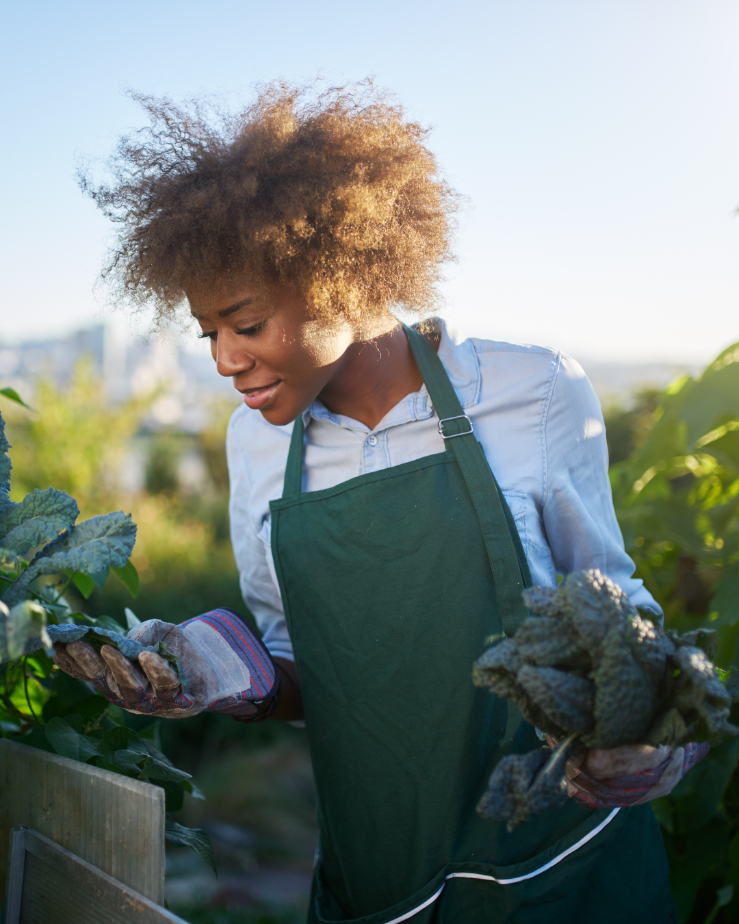 Copy of Entrepreneurship + Agriculture Program - grades 6-12