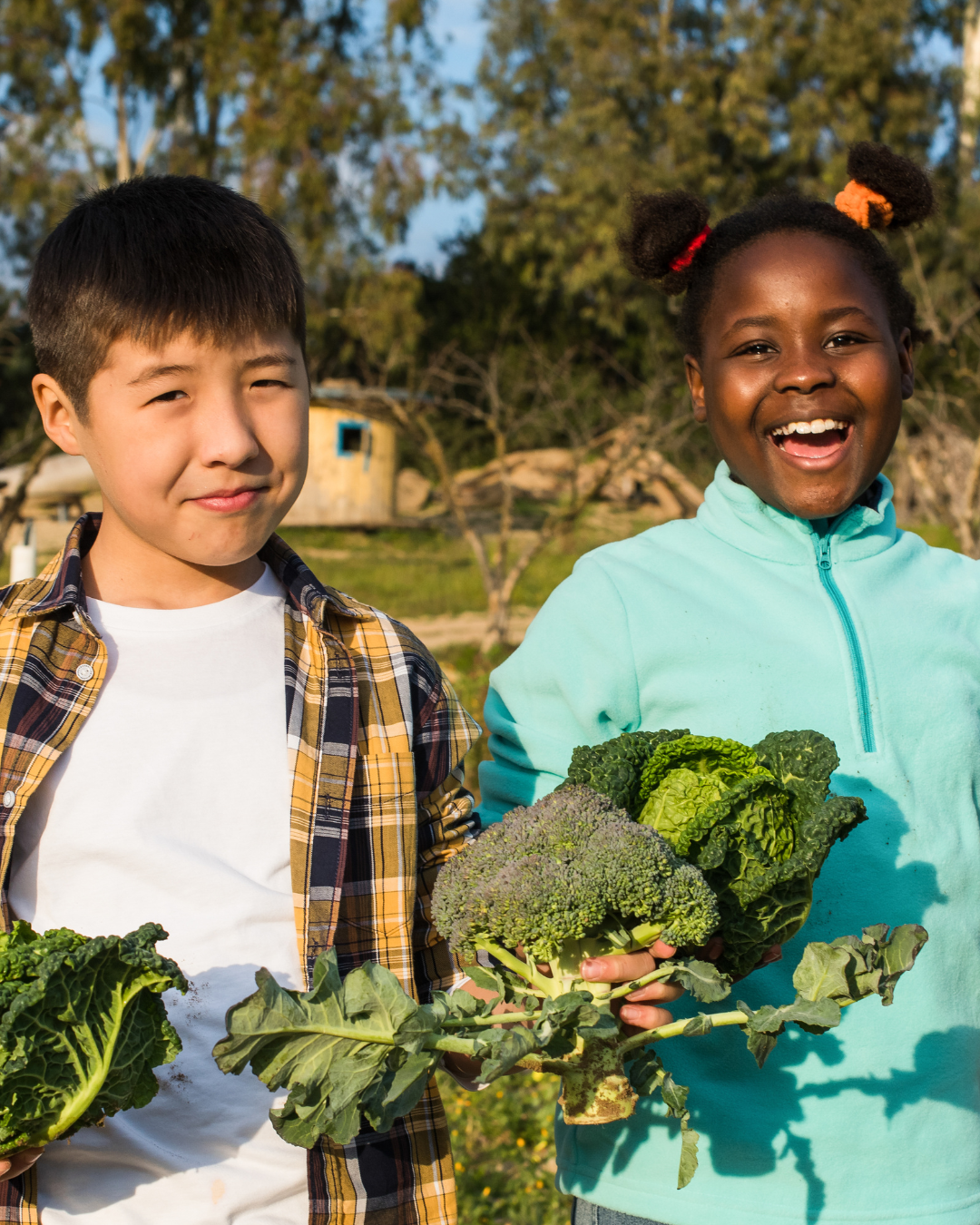 Entrepreneurship + Agriculture Program - grades 3-5